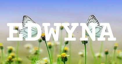 EDWYNA英文名字意義
