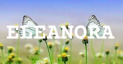 ELEANORA英文名字意義