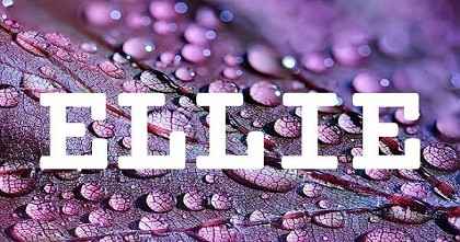 ELLIE英文名字意義