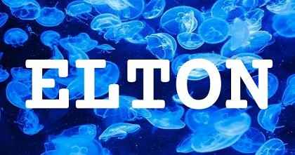 ELTON英文名字意義