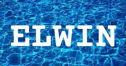 ELWIN英文名字意義