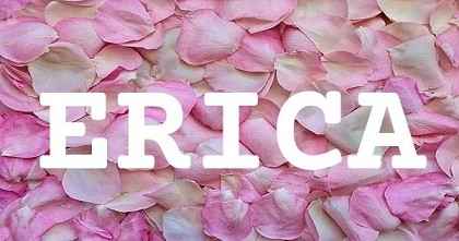 ERICA英文名字意義