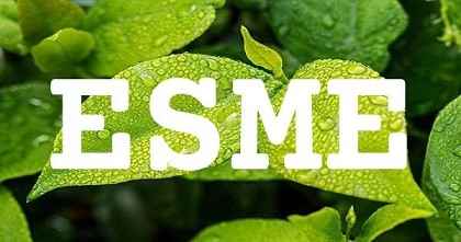 ESME英文名字意義