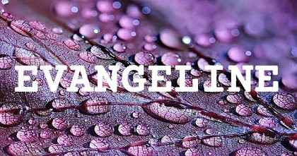 EVANGELINE英文名字意義