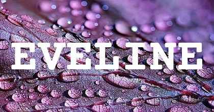 EVELINE英文名字意義