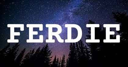 FERDIE英文名字意義