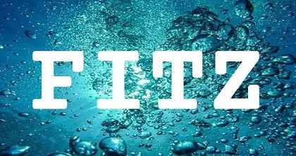 FITZ英文名字意義