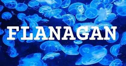 FLANAGAN英文名字意義