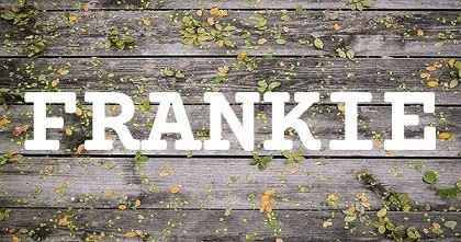 FRANKIE英文名字意義