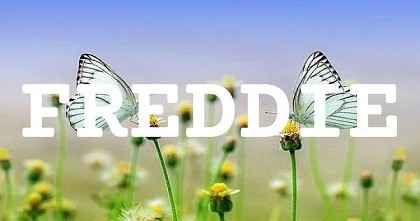 FREDDIE英文名字意義