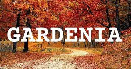 GARDENIA英文名字意義