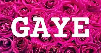 GAYE英文名字意義