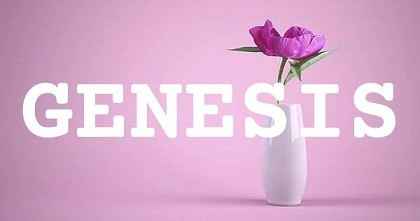 GENESIS英文名字意義