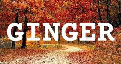 GINGER英文名字意義