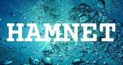 HAMNET英文名字意義