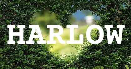 HARLOW英文名字意義
