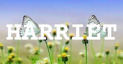 HARRIET英文名字意義