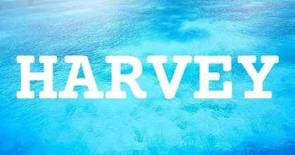 HARVEY英文名字意義