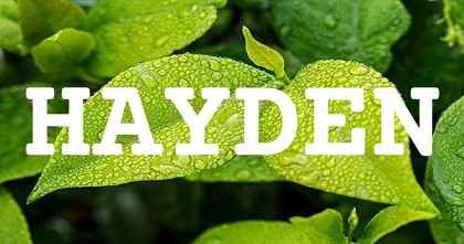 HAYDEN英文名字意義