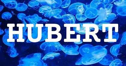 HUBERT英文名字意義