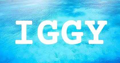 IGGY英文名字意義