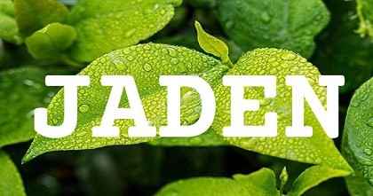 JADEN英文名字意義