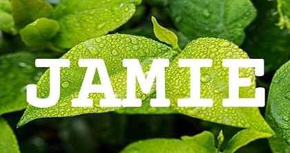 JAMIE英文名字意義
