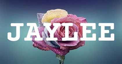 JAYLEE英文名字意義
