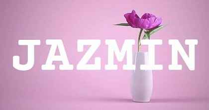 JAZMIN英文名字意義