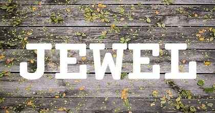 JEWEL英文名字意義