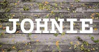 JOHNIE英文名字意義