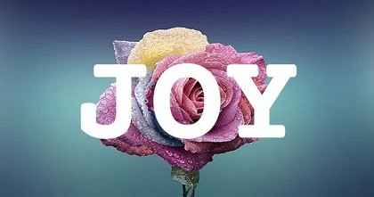 JOY英文名字意義