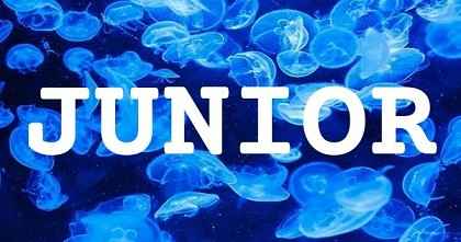 JUNIOR英文名字意義