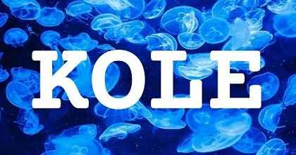 KOLE英文名字意義