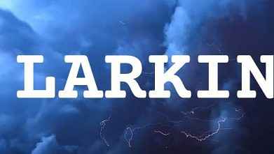 LARKIN英文名字意義