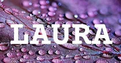 LAURA英文名字意義