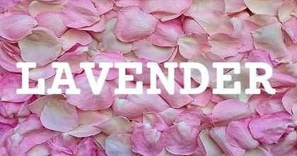 LAVENDER英文名字意義