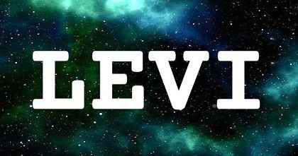 LEVI英文名字意義
