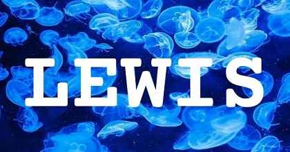 LEWIS英文名字意義