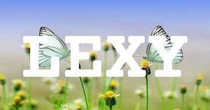 LEXY英文名字意義