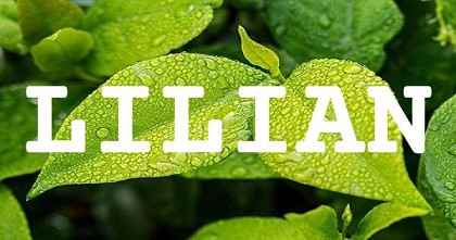 LILIAN英文名字意義