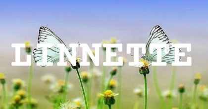 LINNETTE英文名字意義