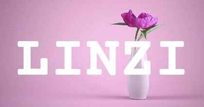 LINZI英文名字意義
