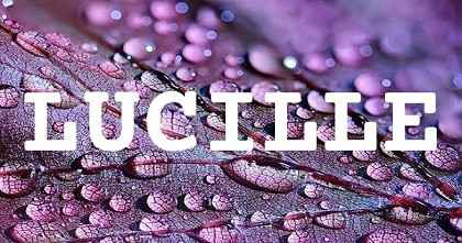 LUCILLE英文名字意義