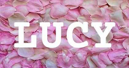 LUCY英文名字意義