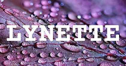 LYNETTE英文名字意義