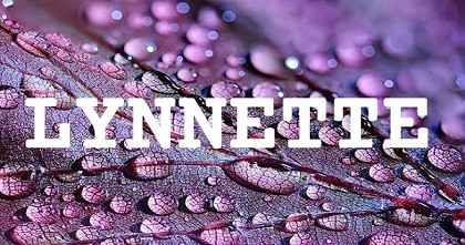 LYNNETTE英文名字意義