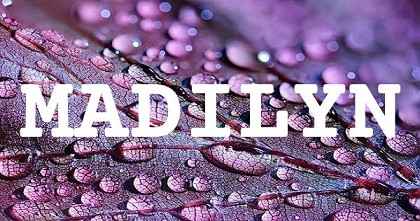 MADILYN英文名字意義