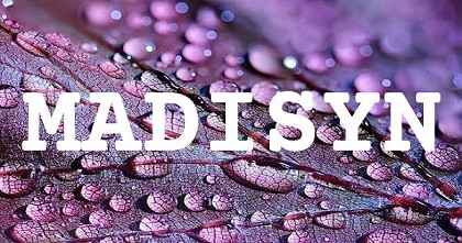 MADISYN英文名字意義