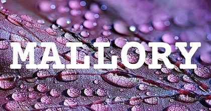 MALLORY英文名字意義